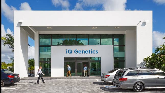 iq genetics avian dna testing