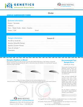 Sample Form