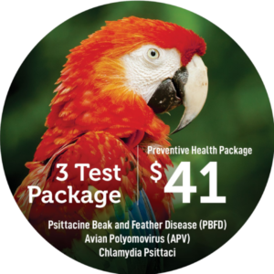 Basic Health Package (PBFD + APV + Chlamydia)